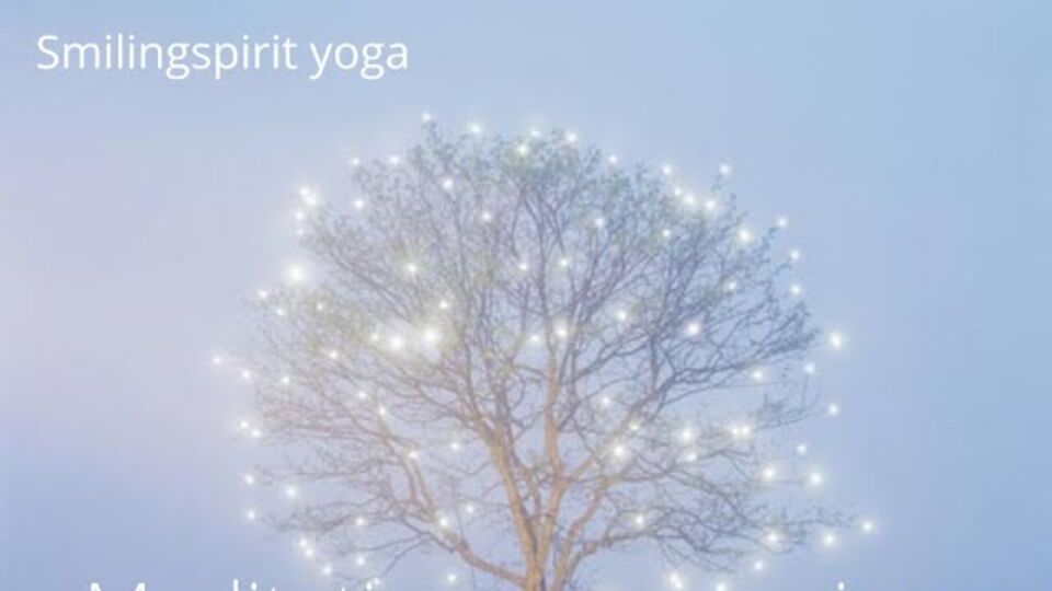 Een boom vol lichtjes, omslag van de meditatie voor een nieuw begin